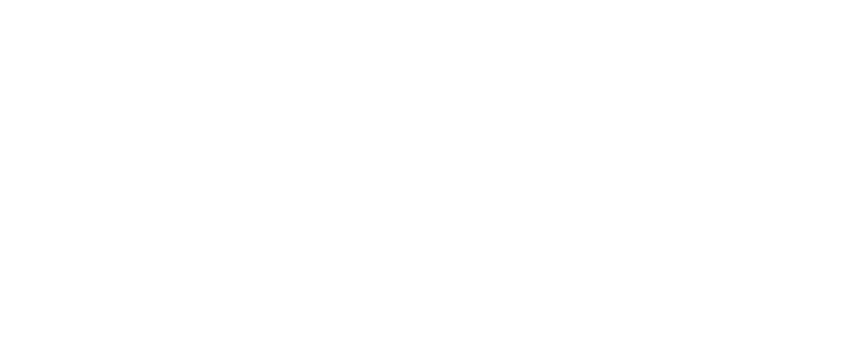 Lideri Telecom